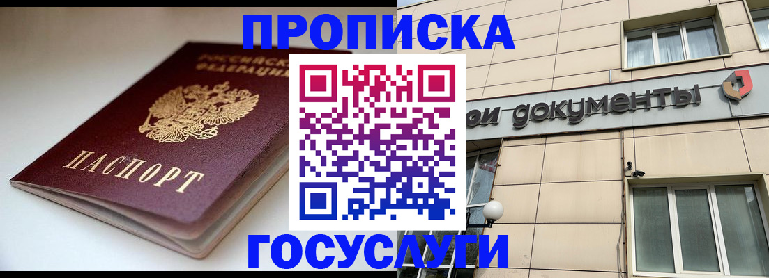 временная регистрация госуслуги в Светлом